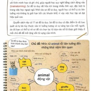 Mind Map Vocabulary – Học từ vựng tiếng Anh bằng sơ đồ tư duy